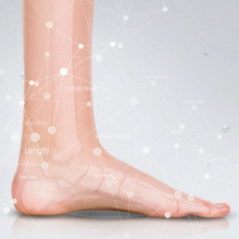 Load image into Gallery viewer, Bauer Hockey Skate Orthotics by Aetrex (2024)
